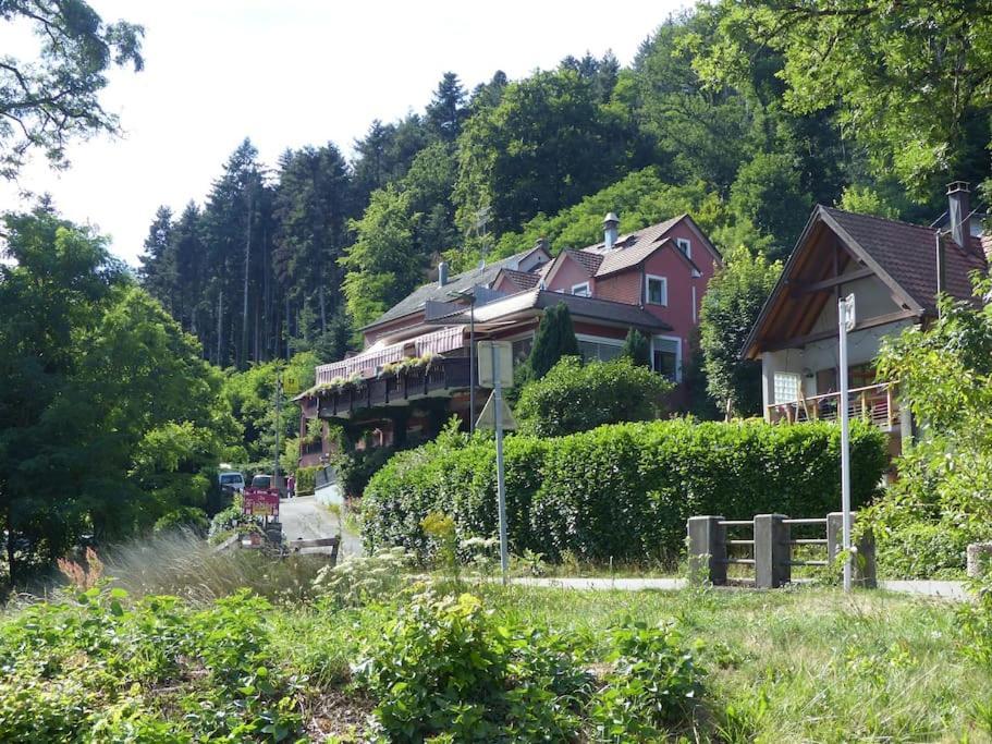 Appartement entier rénové dans un écrin de verdure Thann Exterior foto