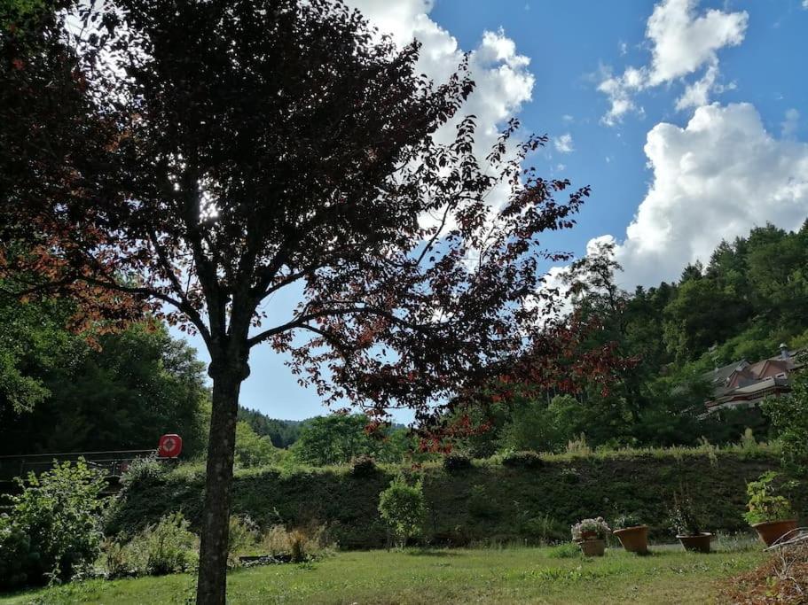 Appartement entier rénové dans un écrin de verdure Thann Exterior foto