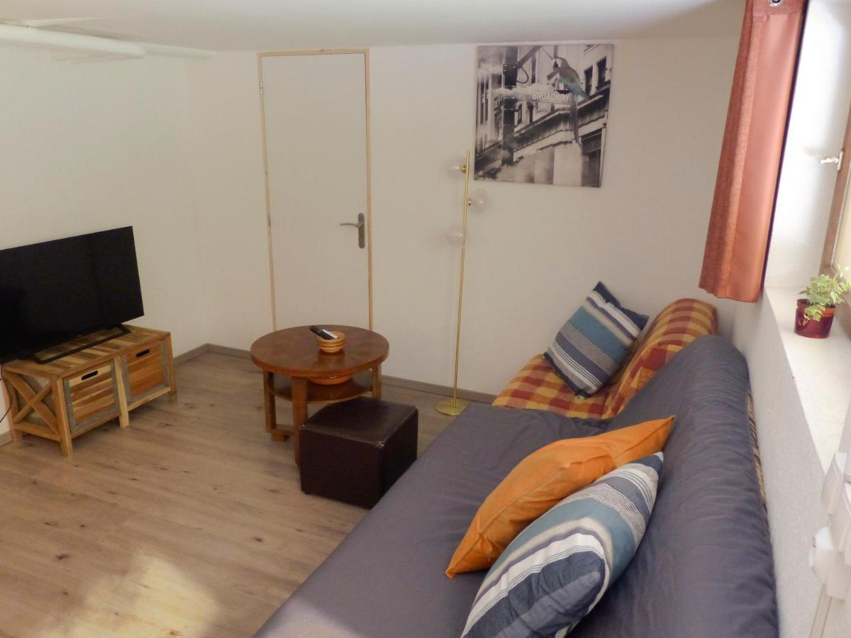 Appartement entier rénové dans un écrin de verdure Thann Exterior foto