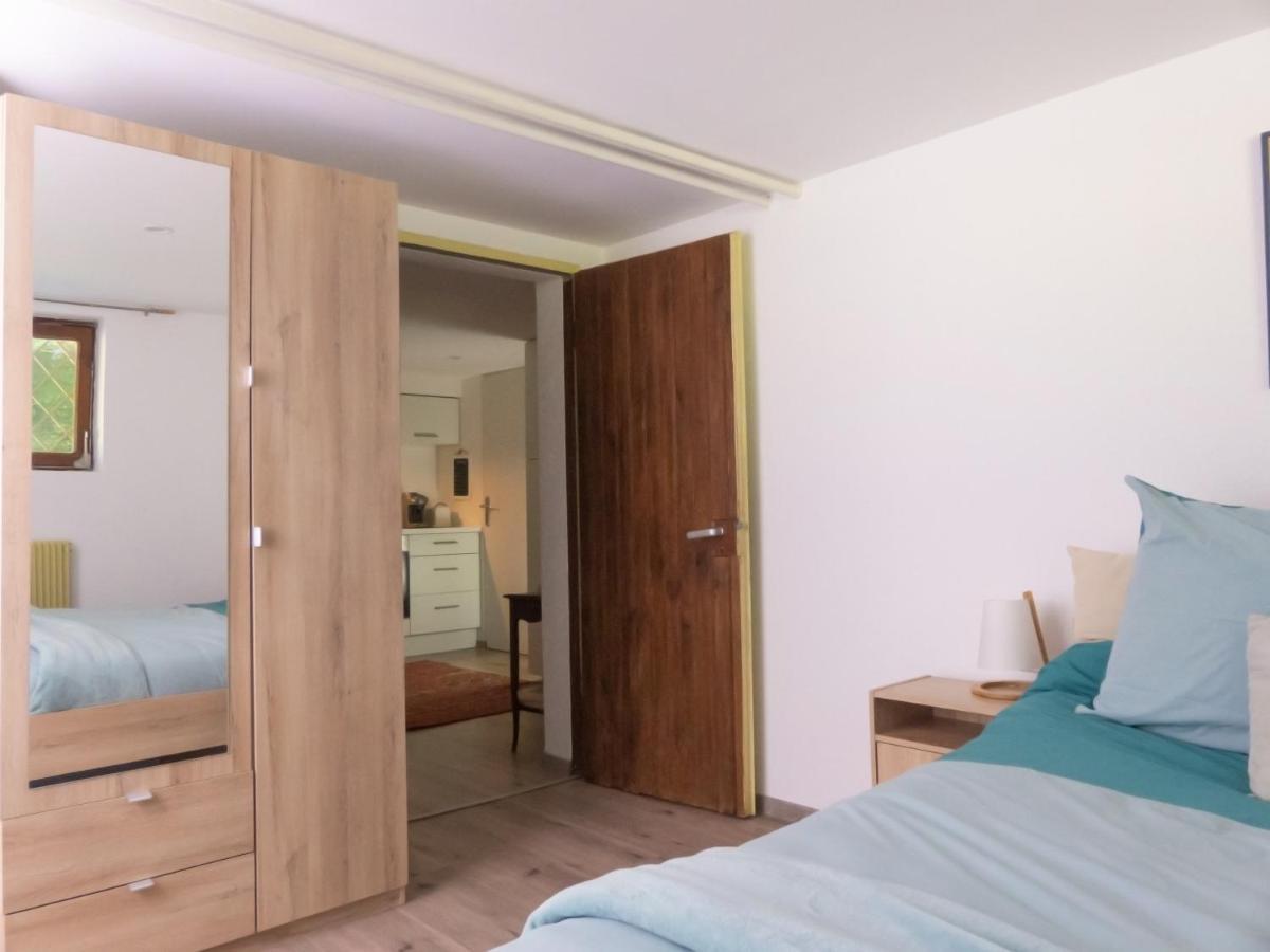 Appartement entier rénové dans un écrin de verdure Thann Exterior foto