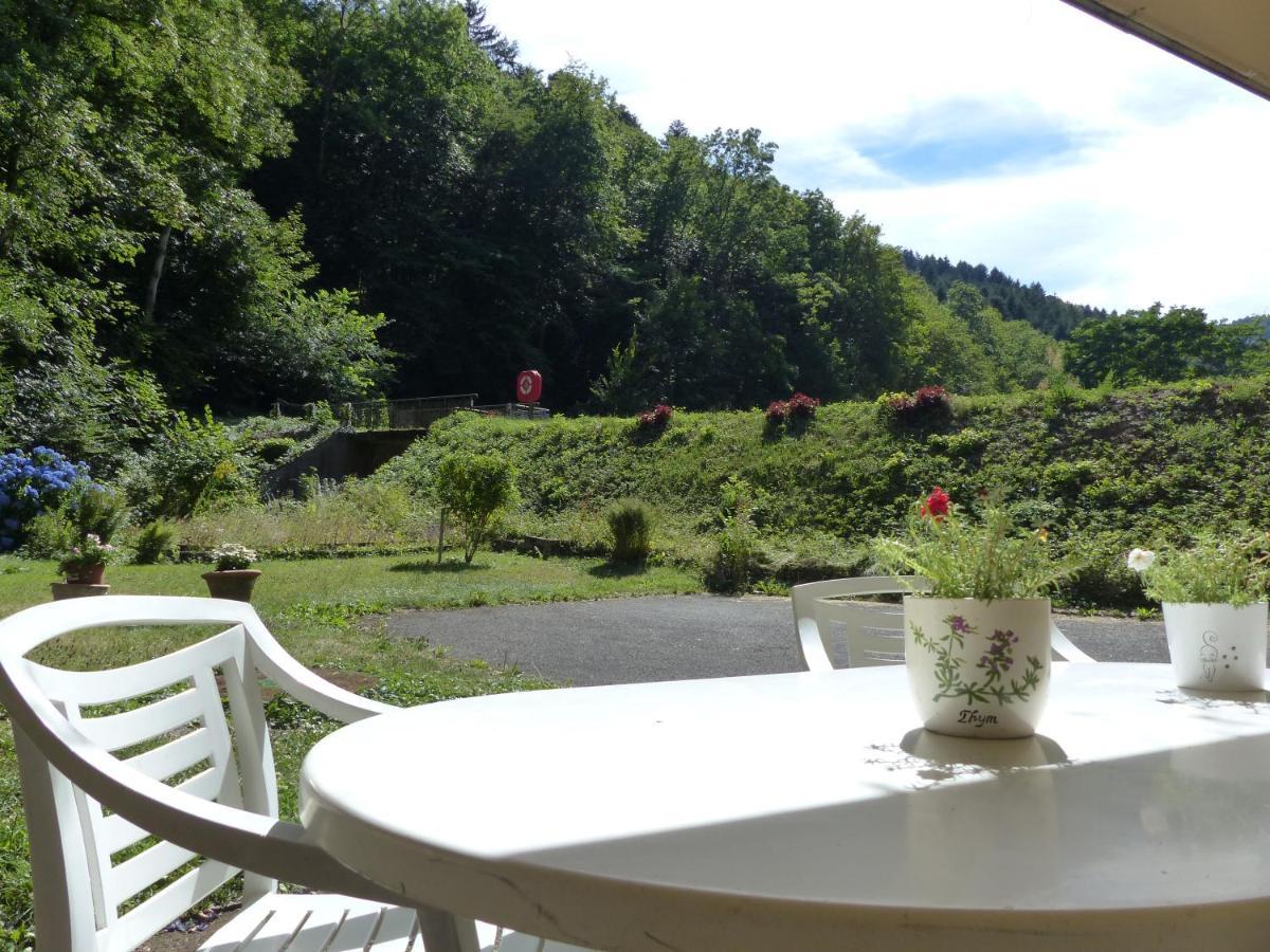 Appartement entier rénové dans un écrin de verdure Thann Exterior foto